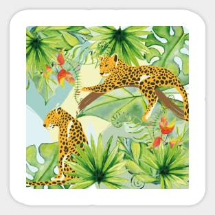 Jungle Sticker